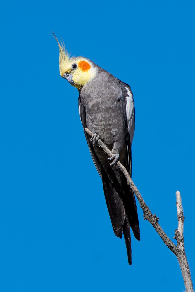 Original photo used as reference